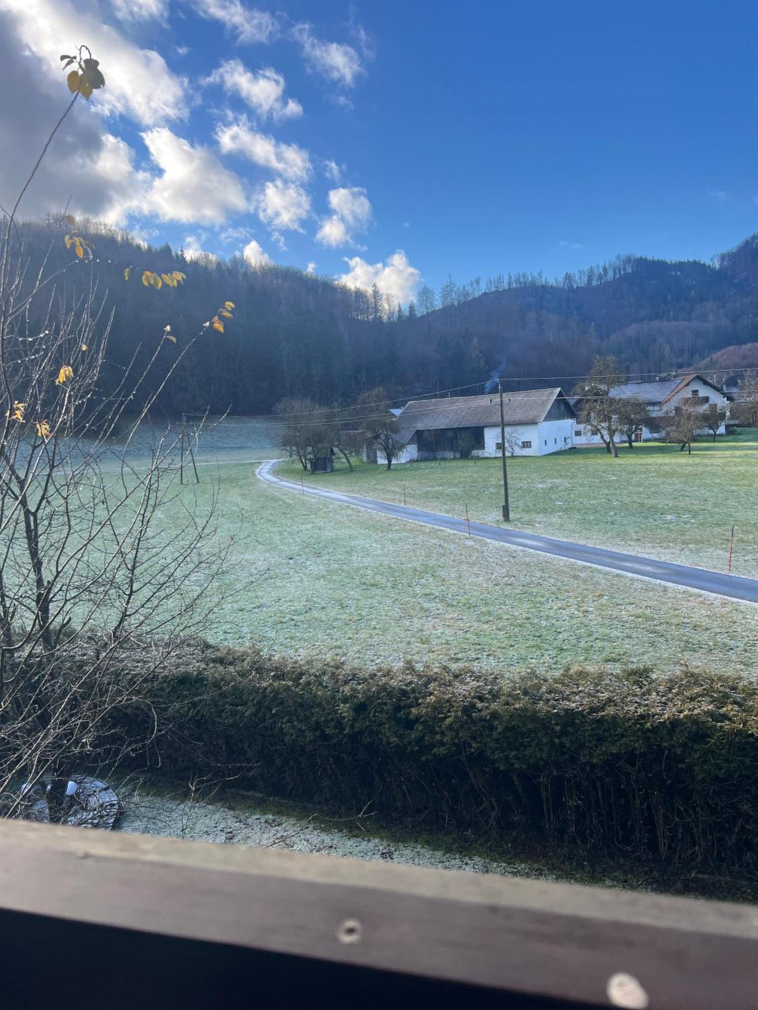 Apartments Steinwaend Grünau im Almtal Εξωτερικό φωτογραφία